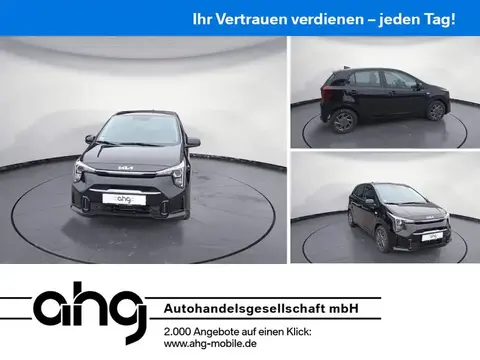 Used KIA PICANTO Petrol 2024 Ad 