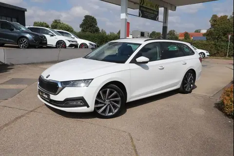 Used SKODA OCTAVIA Diesel 2020 Ad 