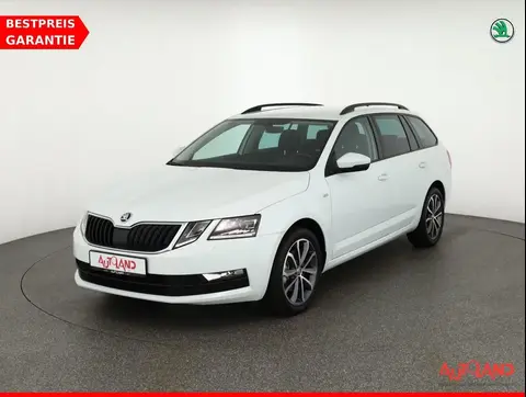 Annonce SKODA OCTAVIA Diesel 2019 d'occasion 