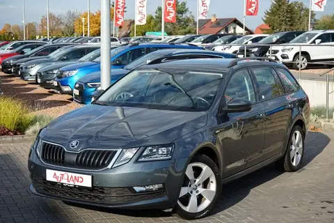 Used SKODA OCTAVIA Petrol 2019 Ad 