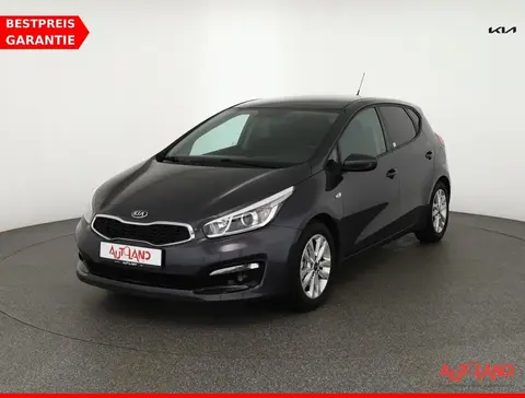 Used KIA CEED Petrol 2016 Ad 