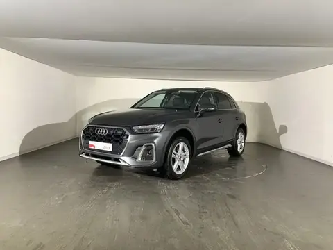 Annonce AUDI Q5  2023 d'occasion 