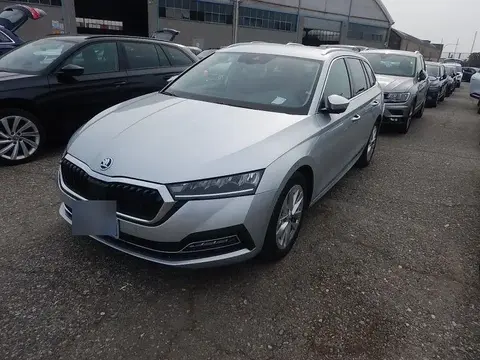 Used SKODA OCTAVIA Diesel 2020 Ad 