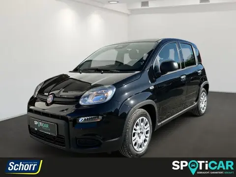 Annonce FIAT PANDA Essence 2024 d'occasion 