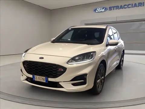 Used FORD KUGA Hybrid 2021 Ad 