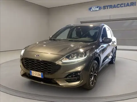 Used FORD KUGA Hybrid 2021 Ad 