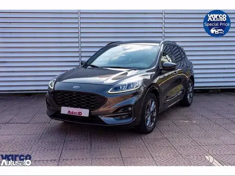 Annonce FORD KUGA Hybride 2021 d'occasion 