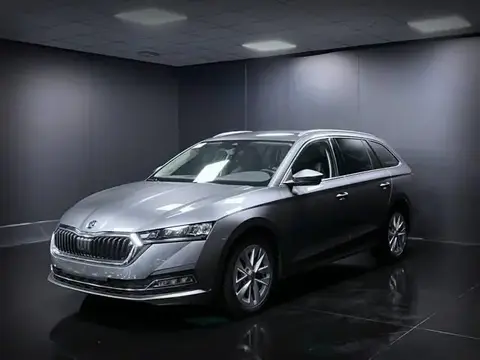 Annonce SKODA OCTAVIA Diesel 2023 d'occasion 