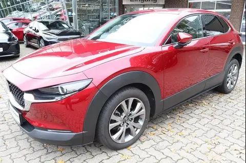 Annonce MAZDA CX-30 Essence 2020 d'occasion 