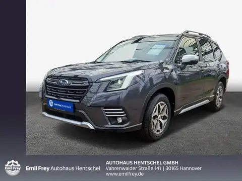 Used SUBARU FORESTER Hybrid 2024 Ad 