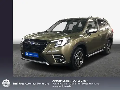 Used SUBARU FORESTER Hybrid 2024 Ad 