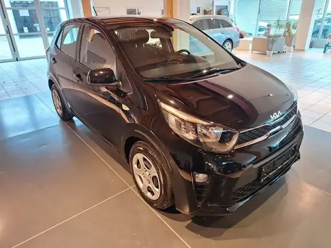 Annonce KIA PICANTO Essence 2024 d'occasion 