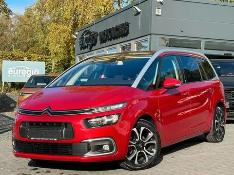 Annonce CITROEN C4 Diesel 2020 d'occasion 