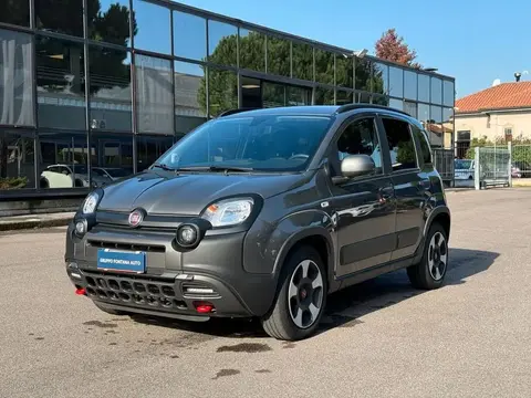 Annonce FIAT PANDA Hybride 2023 d'occasion 