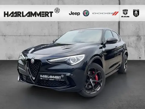 Used ALFA ROMEO STELVIO Petrol 2023 Ad 