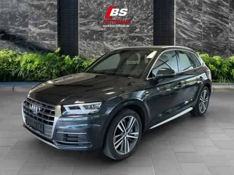 Used AUDI Q5 Diesel 2017 Ad 