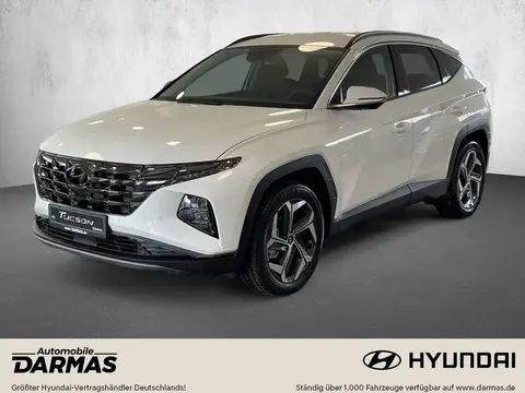 Used HYUNDAI TUCSON Hybrid 2024 Ad 