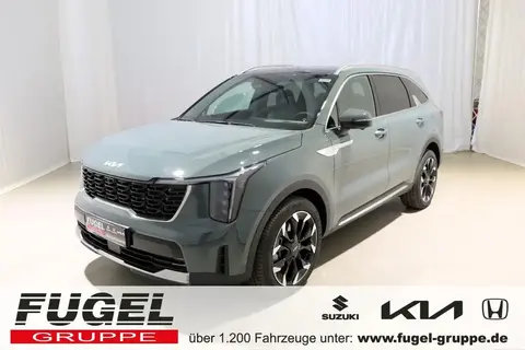 Used KIA SORENTO Diesel 2024 Ad 