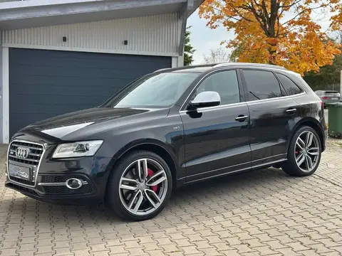 Annonce AUDI SQ5 Diesel 2016 d'occasion 