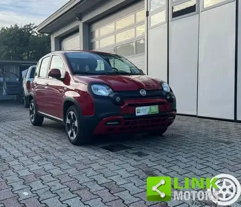 Used FIAT PANDA Hybrid 2022 Ad 