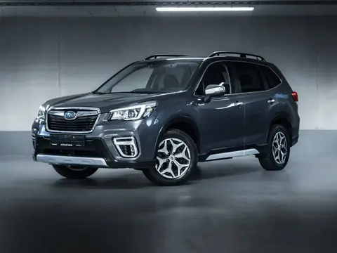 Used SUBARU FORESTER Petrol 2021 Ad 