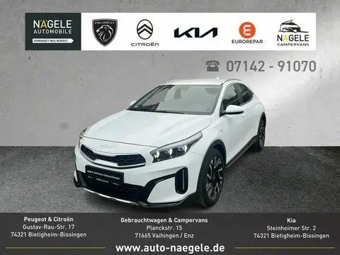 Annonce KIA XCEED Essence 2024 d'occasion 