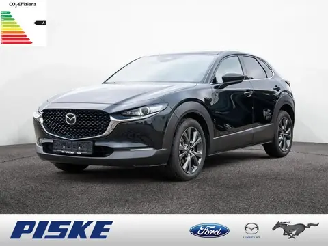 Used MAZDA CX-30 Petrol 2023 Ad 