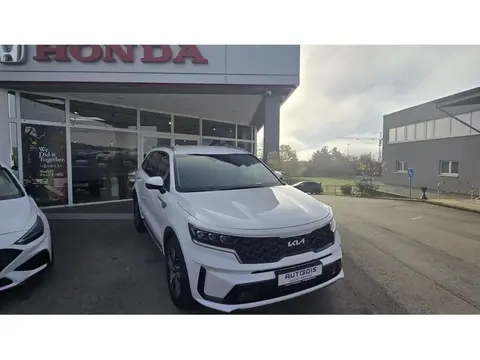 Annonce KIA SORENTO Hybride 2023 d'occasion 