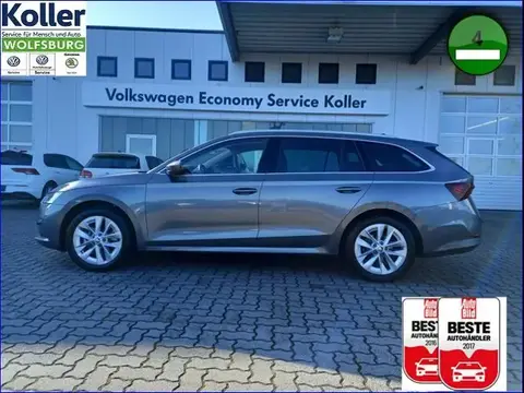 Used SKODA OCTAVIA Petrol 2024 Ad 