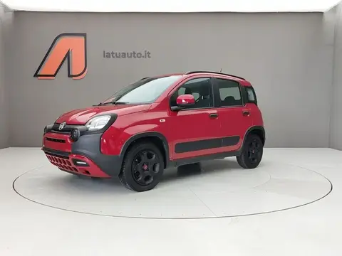 Annonce FIAT PANDA  2022 d'occasion 