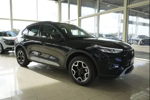 Annonce FORD KUGA Hybride 2024 d'occasion 