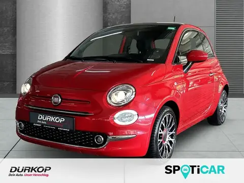 Used FIAT 500 Petrol 2023 Ad 