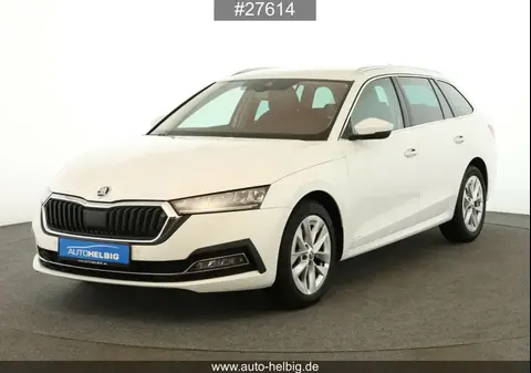 Used SKODA OCTAVIA Diesel 2021 Ad 