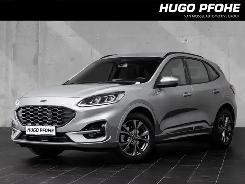 Annonce FORD KUGA Essence 2023 d'occasion 