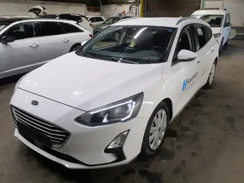 Annonce FORD FOCUS Diesel 2019 d'occasion 