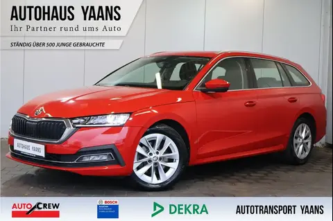 Annonce SKODA OCTAVIA Diesel 2021 d'occasion 