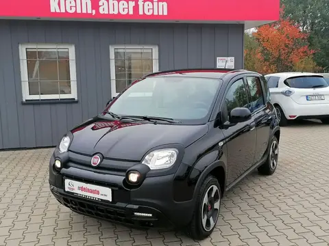 Used FIAT PANDA Petrol 2023 Ad 