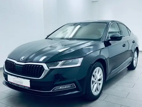 Annonce SKODA OCTAVIA Diesel 2020 d'occasion 