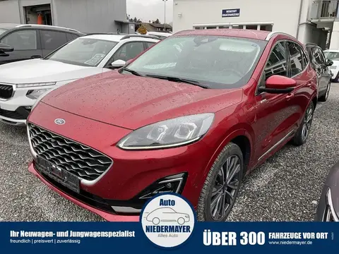 Used FORD KUGA Hybrid 2023 Ad 