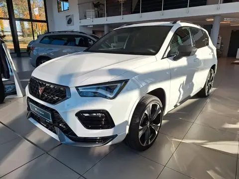 Annonce CUPRA ATECA Essence 2024 d'occasion 