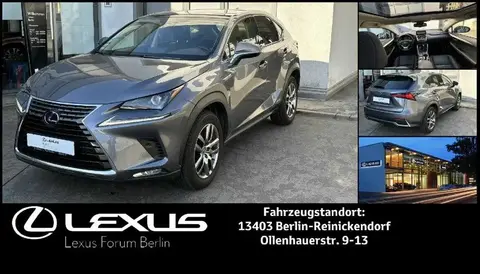 Annonce LEXUS NX Hybride 2022 d'occasion 