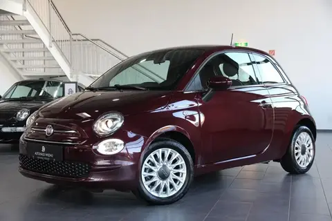 Used FIAT 500 Petrol 2019 Ad 