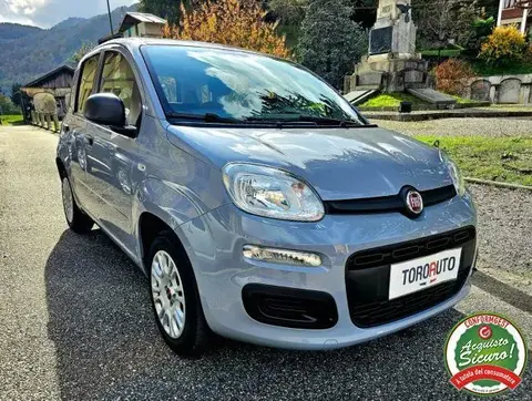 Annonce FIAT PANDA Essence 2021 d'occasion 