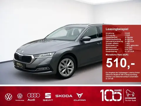 Annonce SKODA OCTAVIA Diesel 2024 d'occasion 