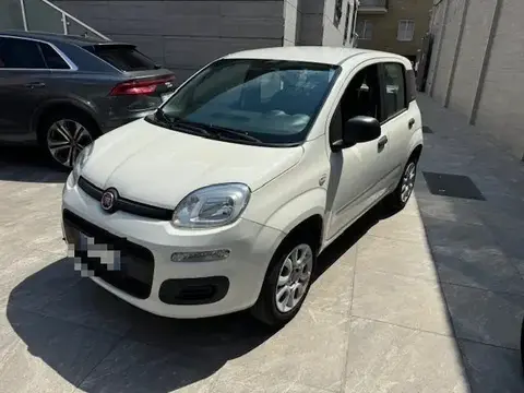 Annonce FIAT PANDA  2018 d'occasion 