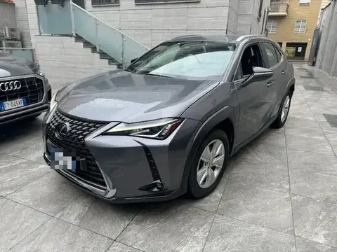 Used LEXUS UX Hybrid 2021 Ad 