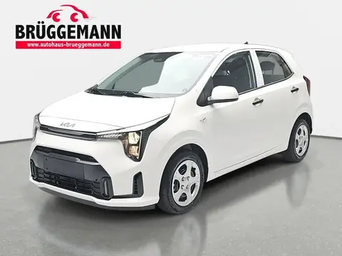 Annonce KIA PICANTO Essence 2024 d'occasion 