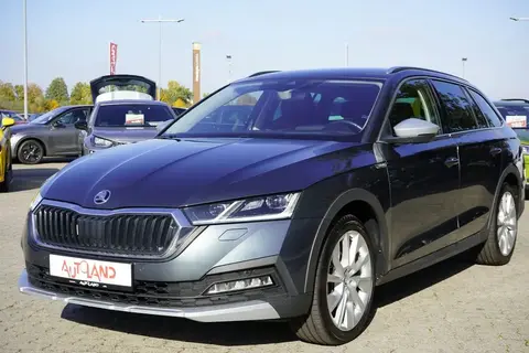 Used SKODA OCTAVIA Petrol 2021 Ad 