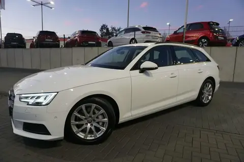 Used AUDI A4 Diesel 2019 Ad 