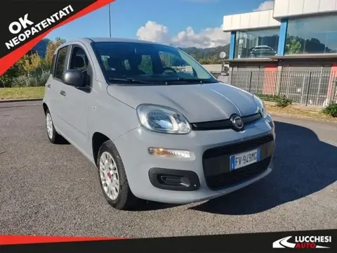 Annonce FIAT PANDA Essence 2019 d'occasion 